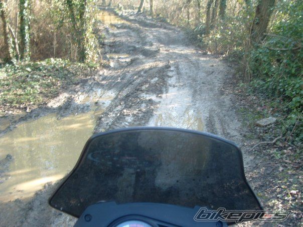 Bike Photo 1667412