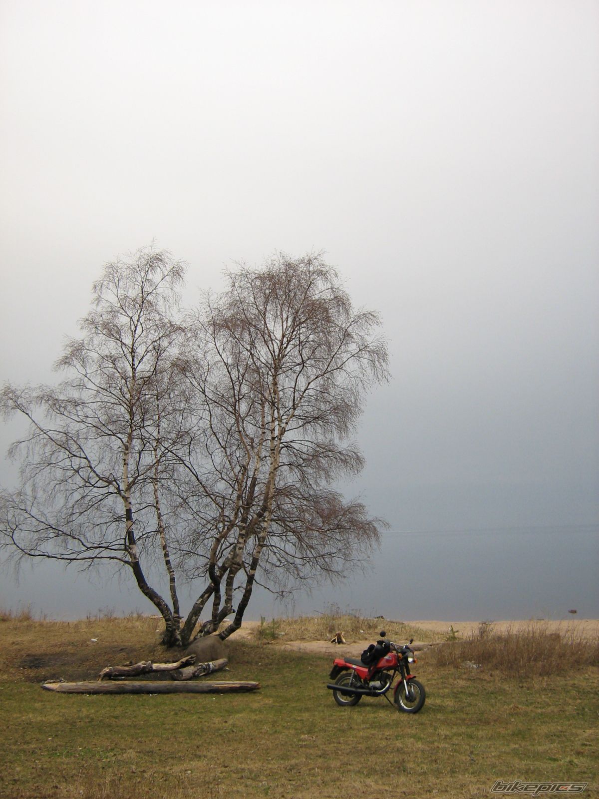 Bike Photo 1667428