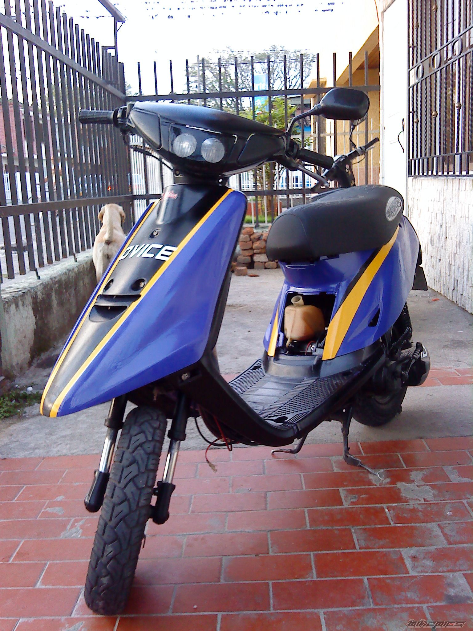 Photo 1667436