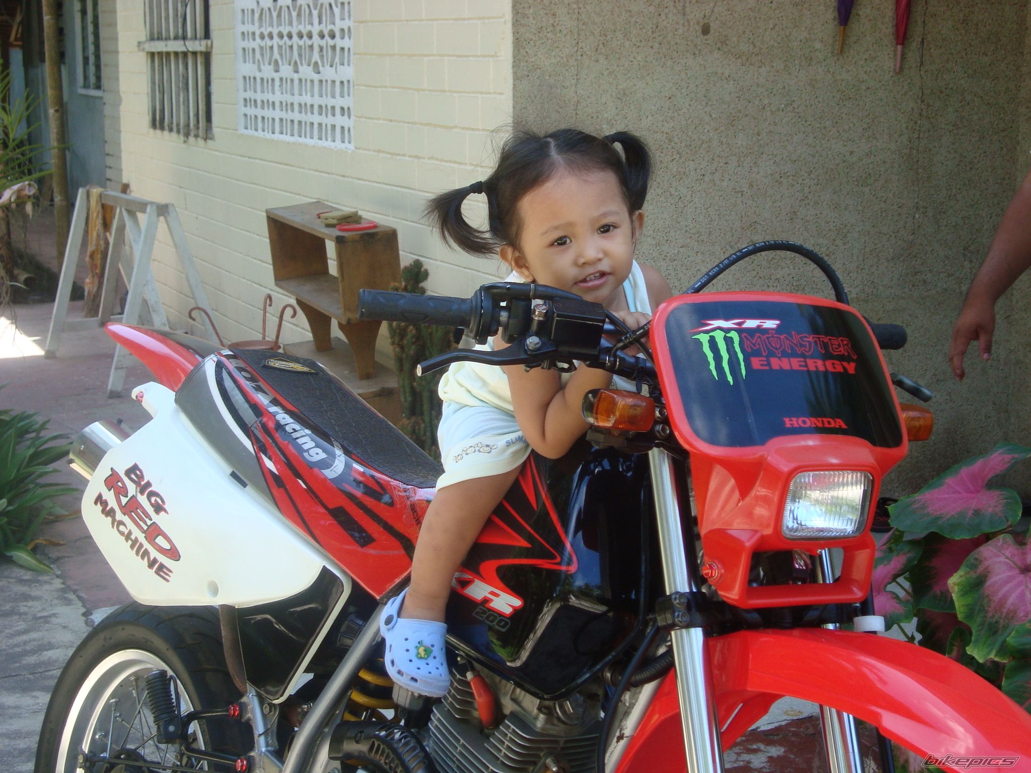 Photo 1667474