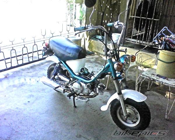 Photo 1667484