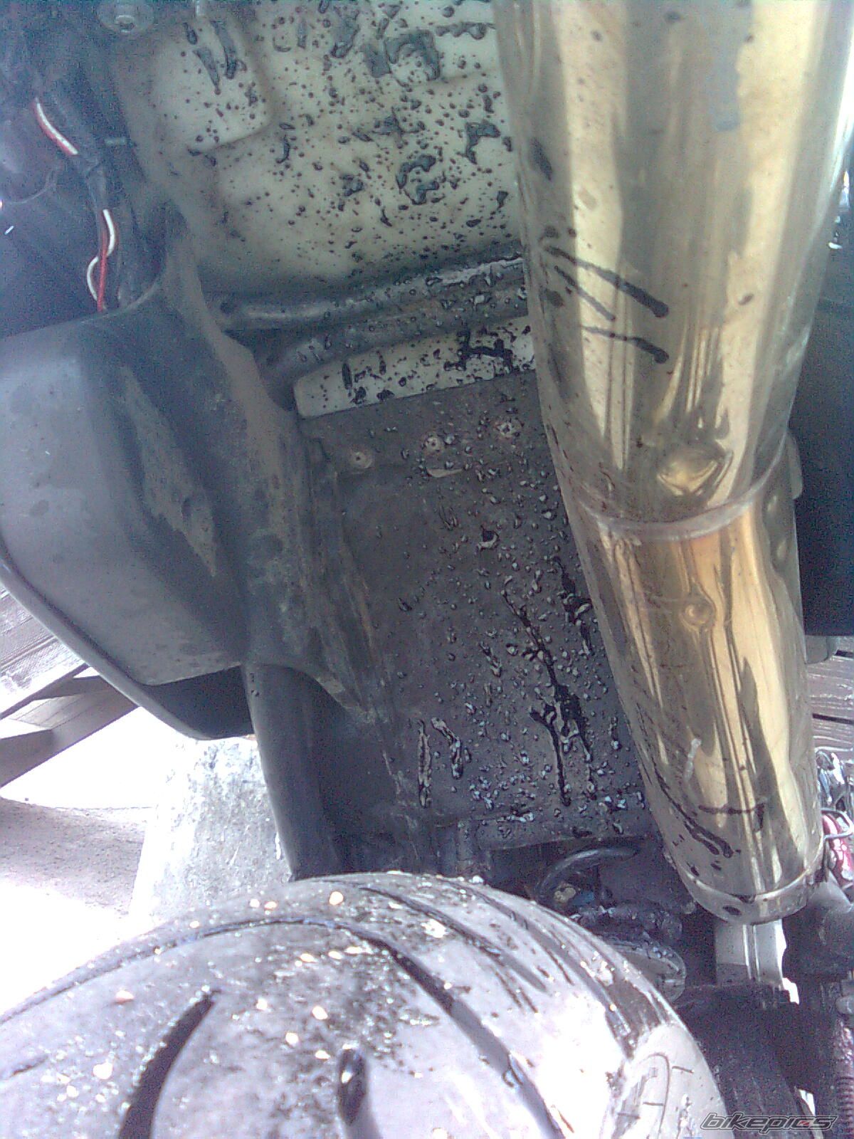 Bike Photo 1667561