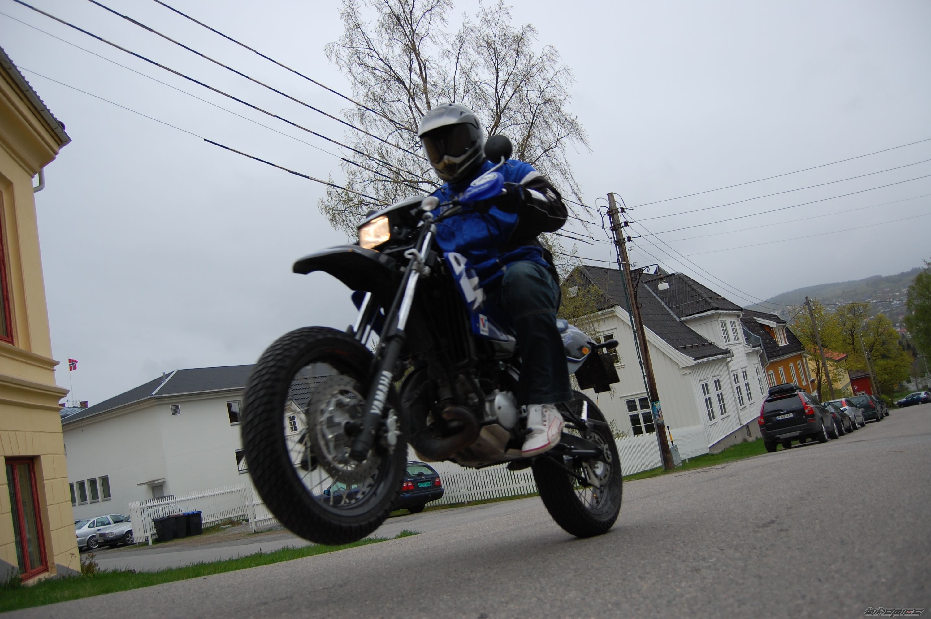 Photo 1667575