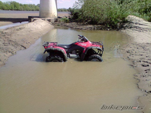 Photo 1667601