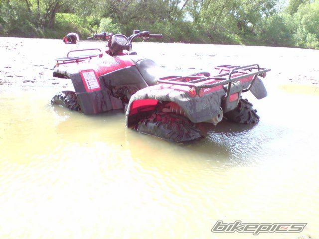 Photo 1667603