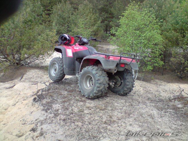 Photo 1667617