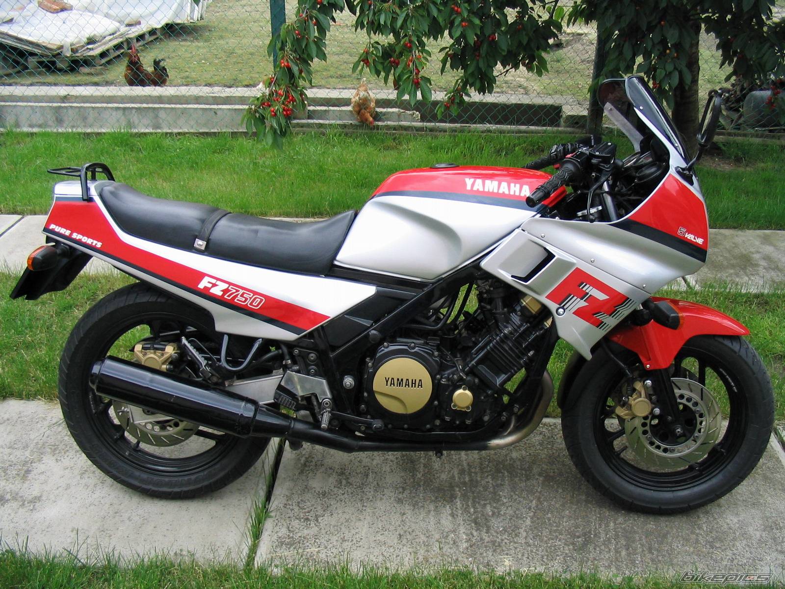 Bike Photo 166762