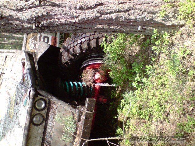 Photo 1667637