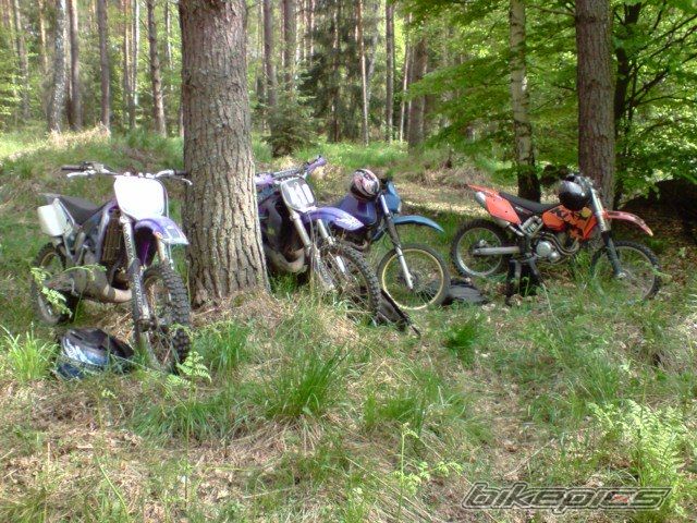 Photo 1667639