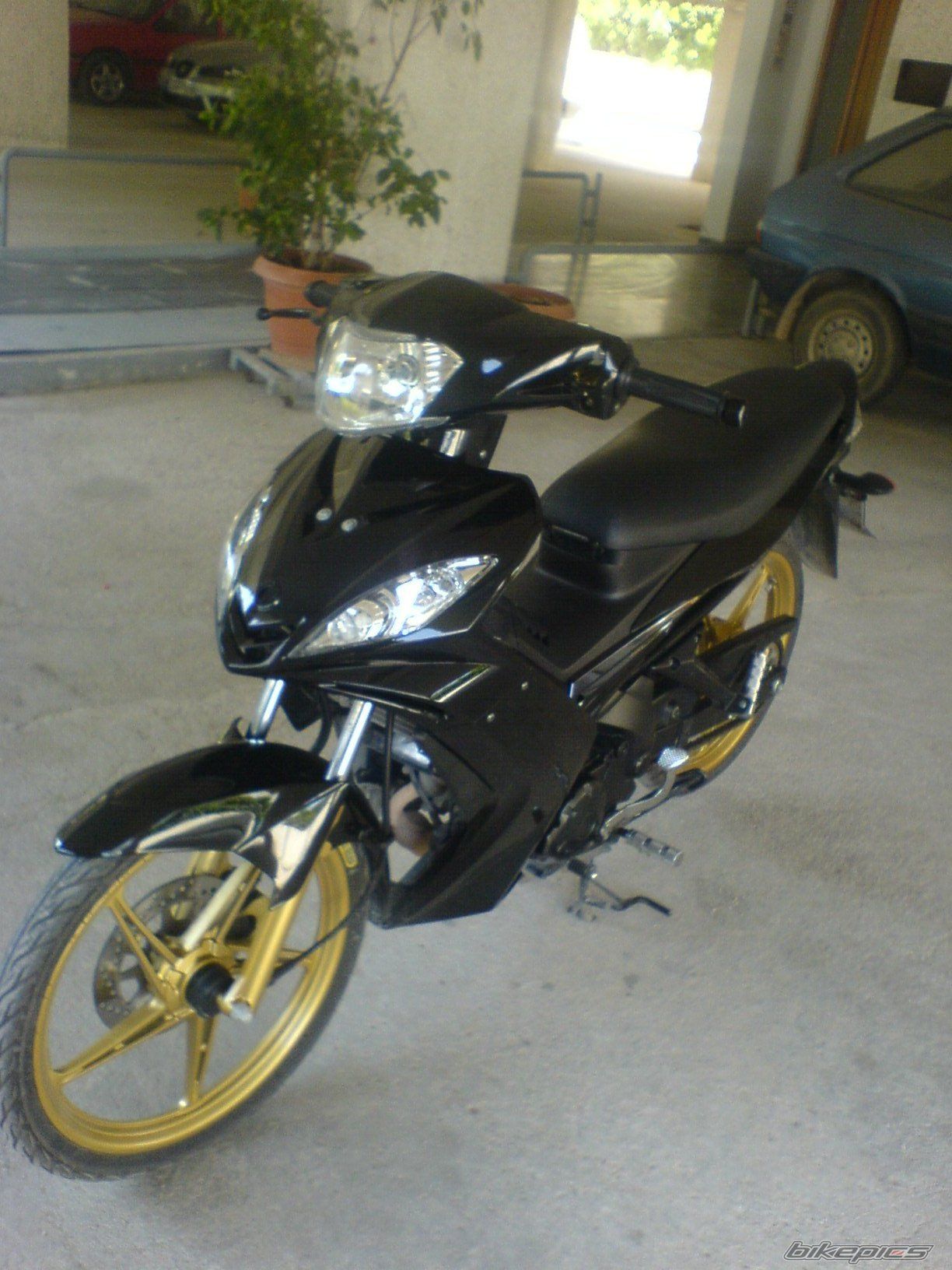 Photo 1667662