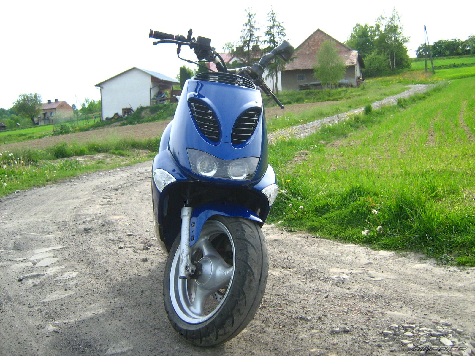 Photo 1667674