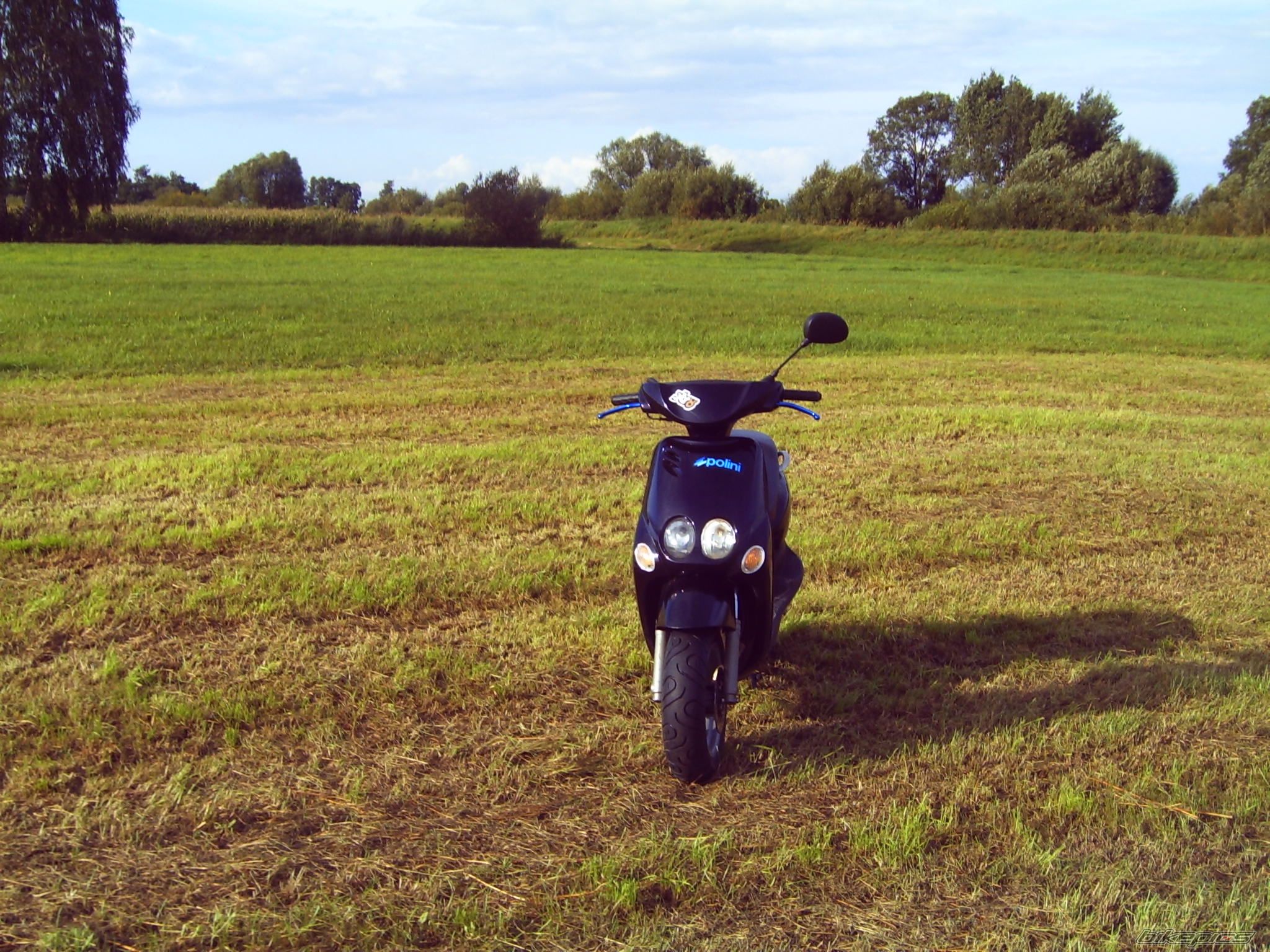Photo 1667688