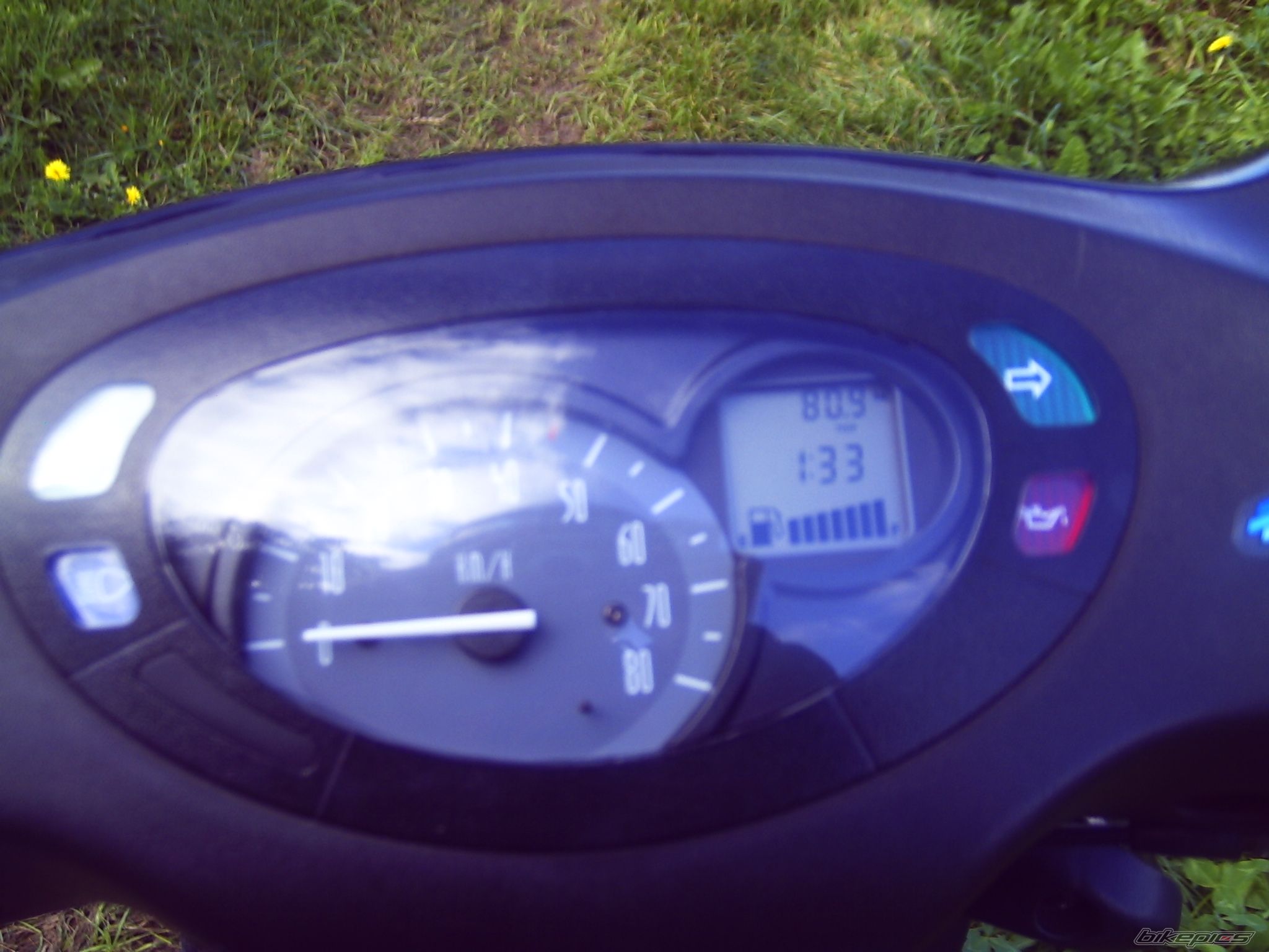 Photo 1667690