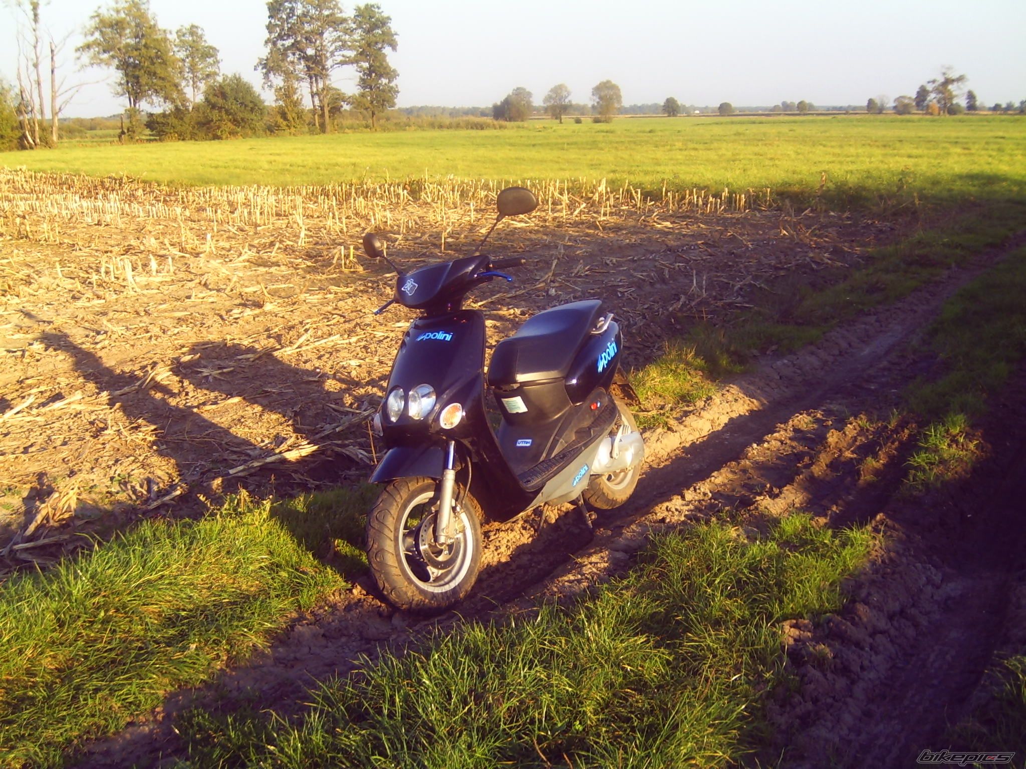Photo 1667692