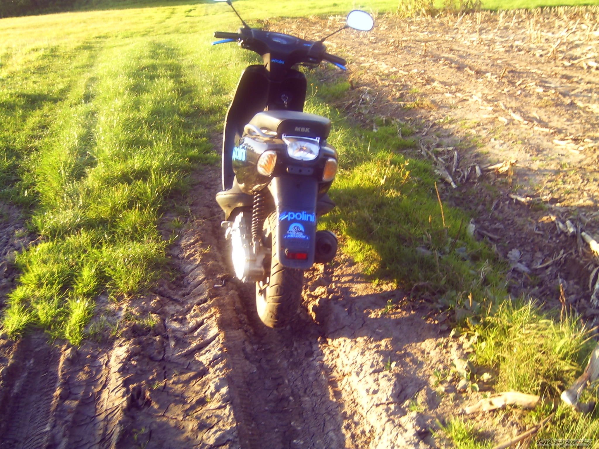 Photo 1667696