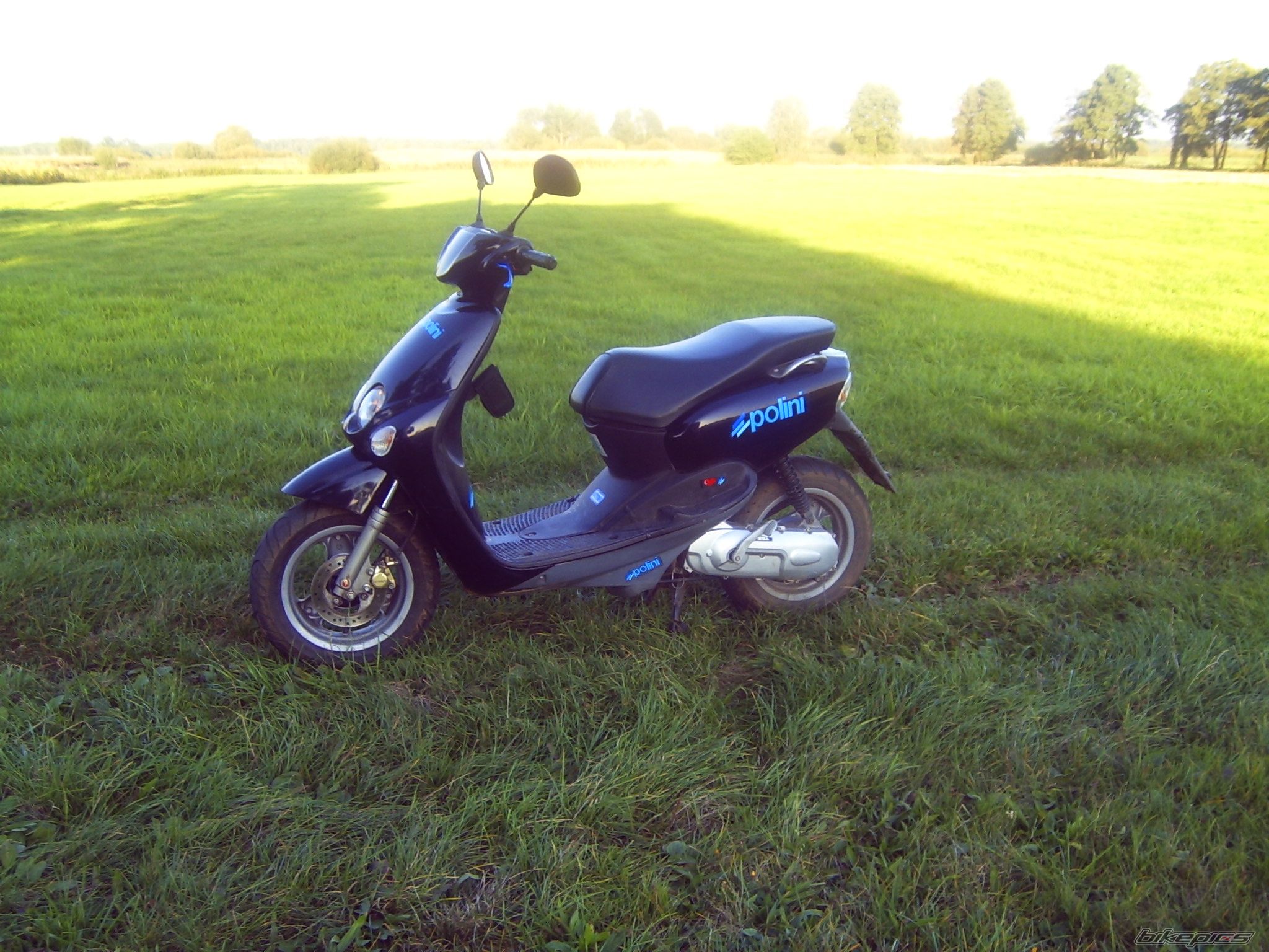 Photo 1667698