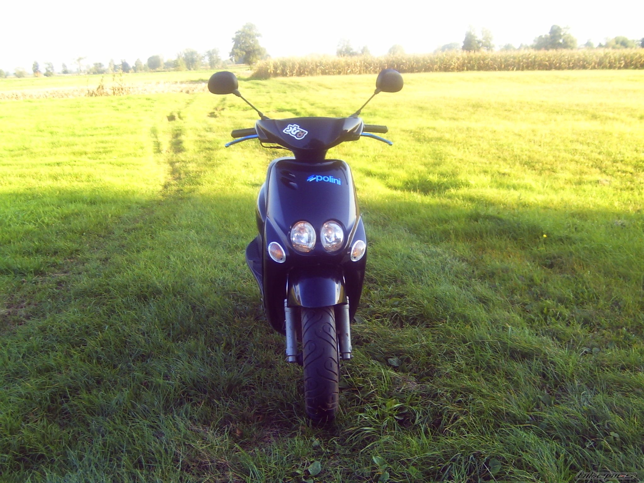 Photo 1667699