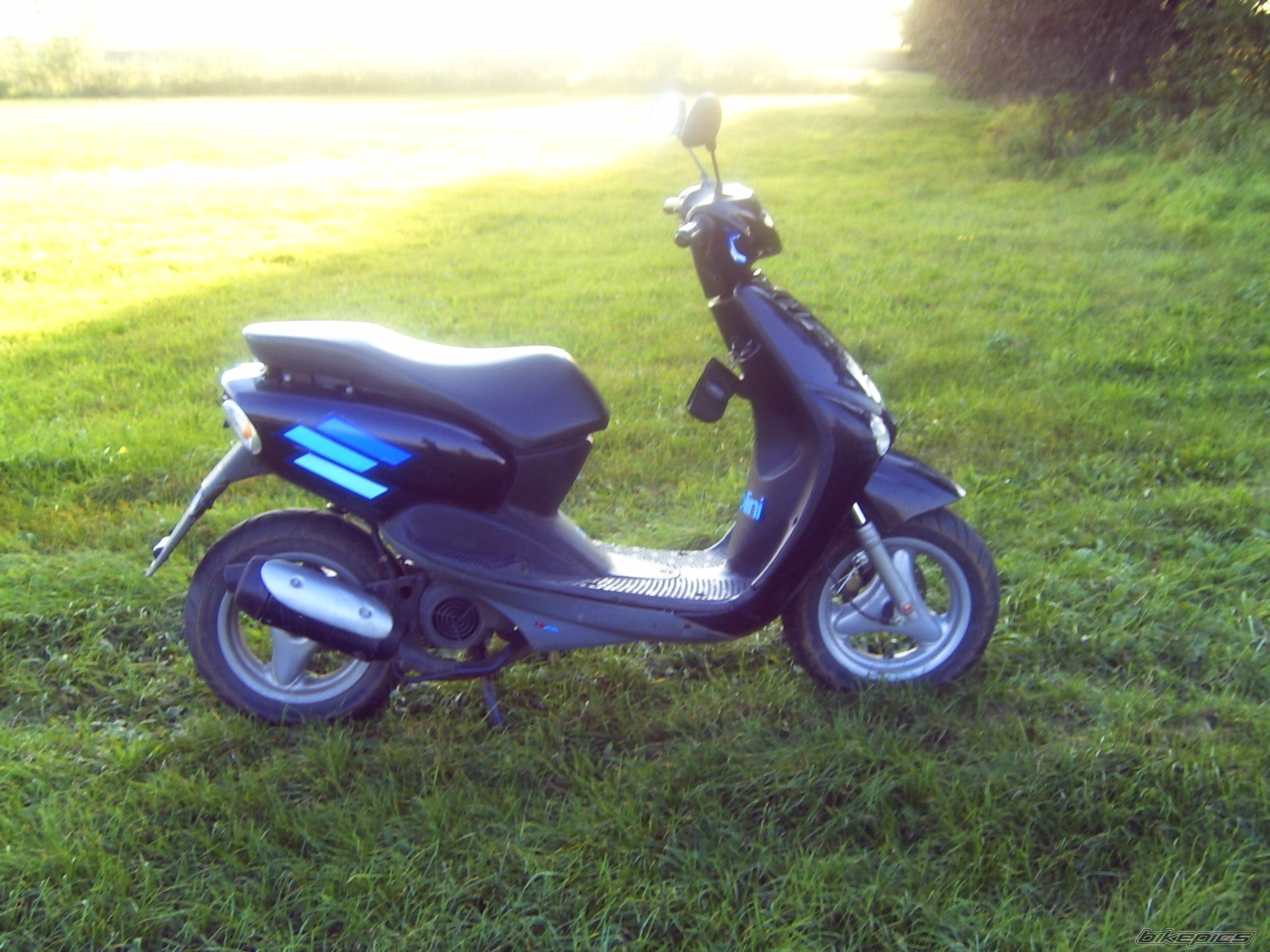 Photo 1667702
