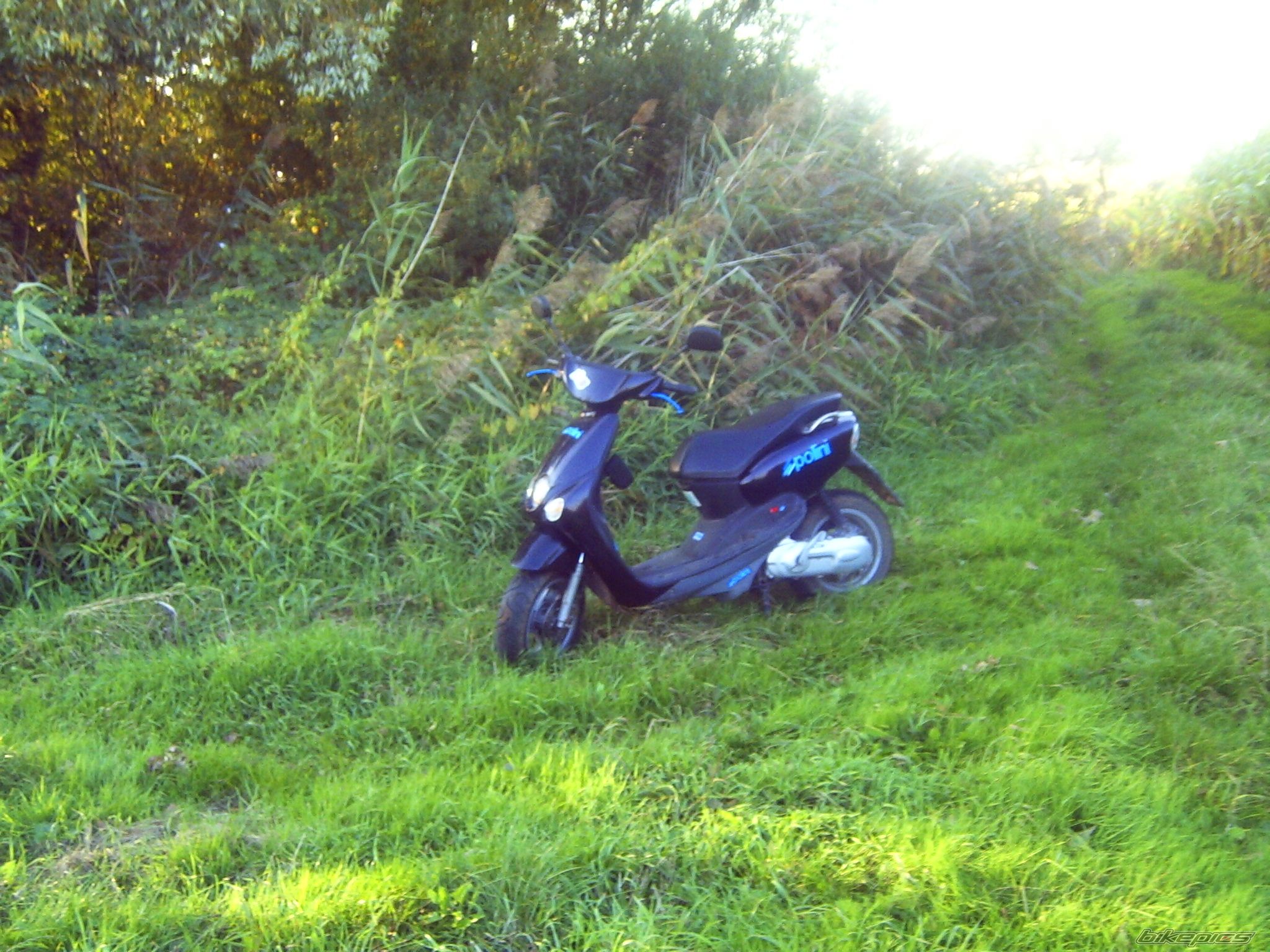 Photo 1667703
