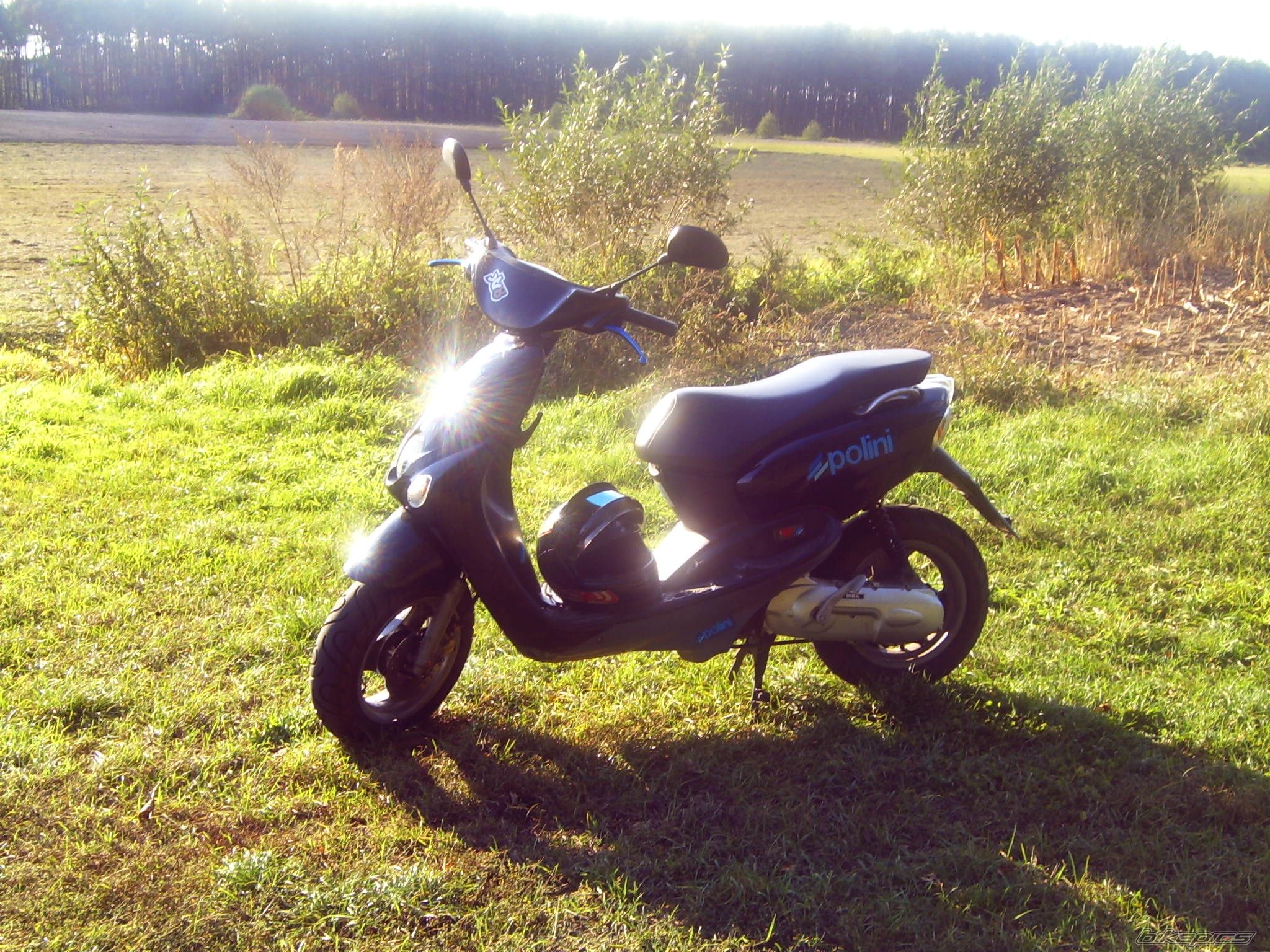 Photo 1667704