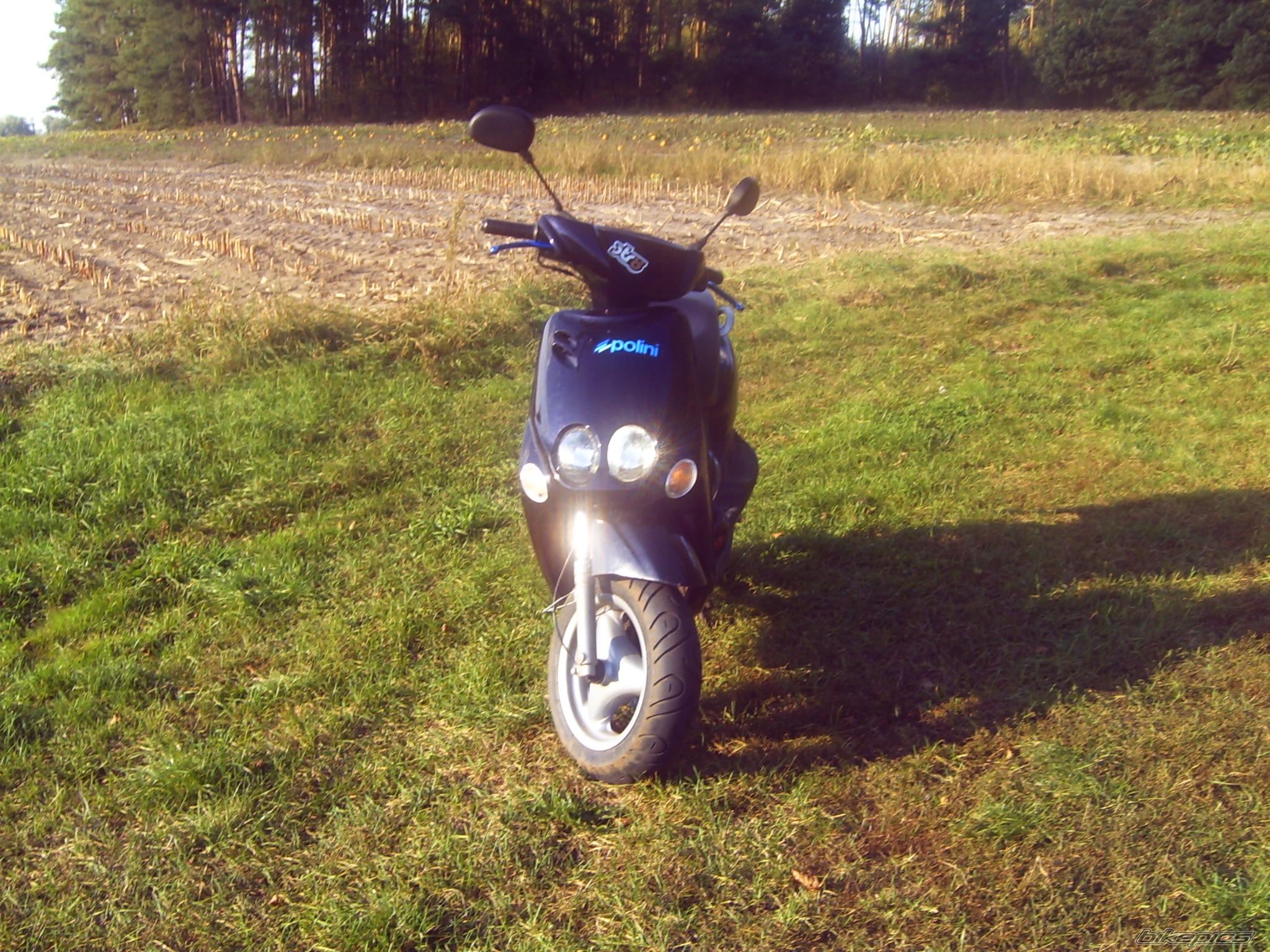 Photo 1667705