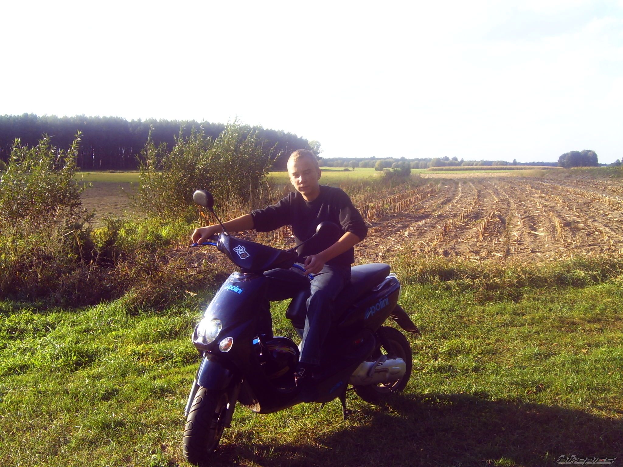 Photo 1667711