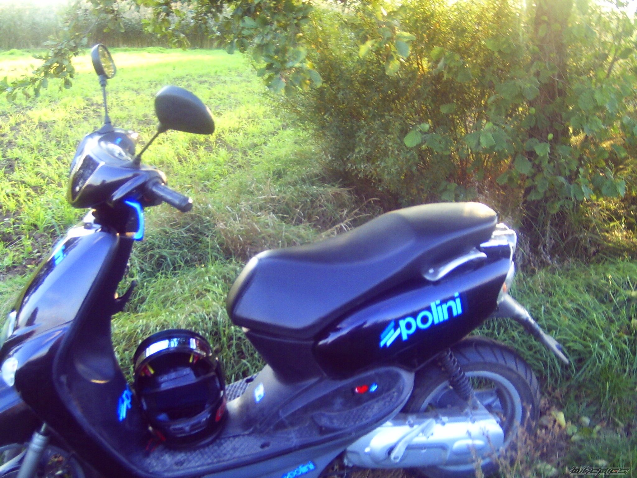 Photo 1667713