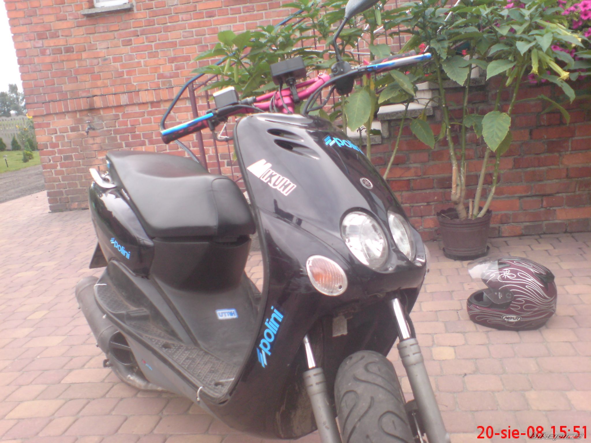 Photo 1667727