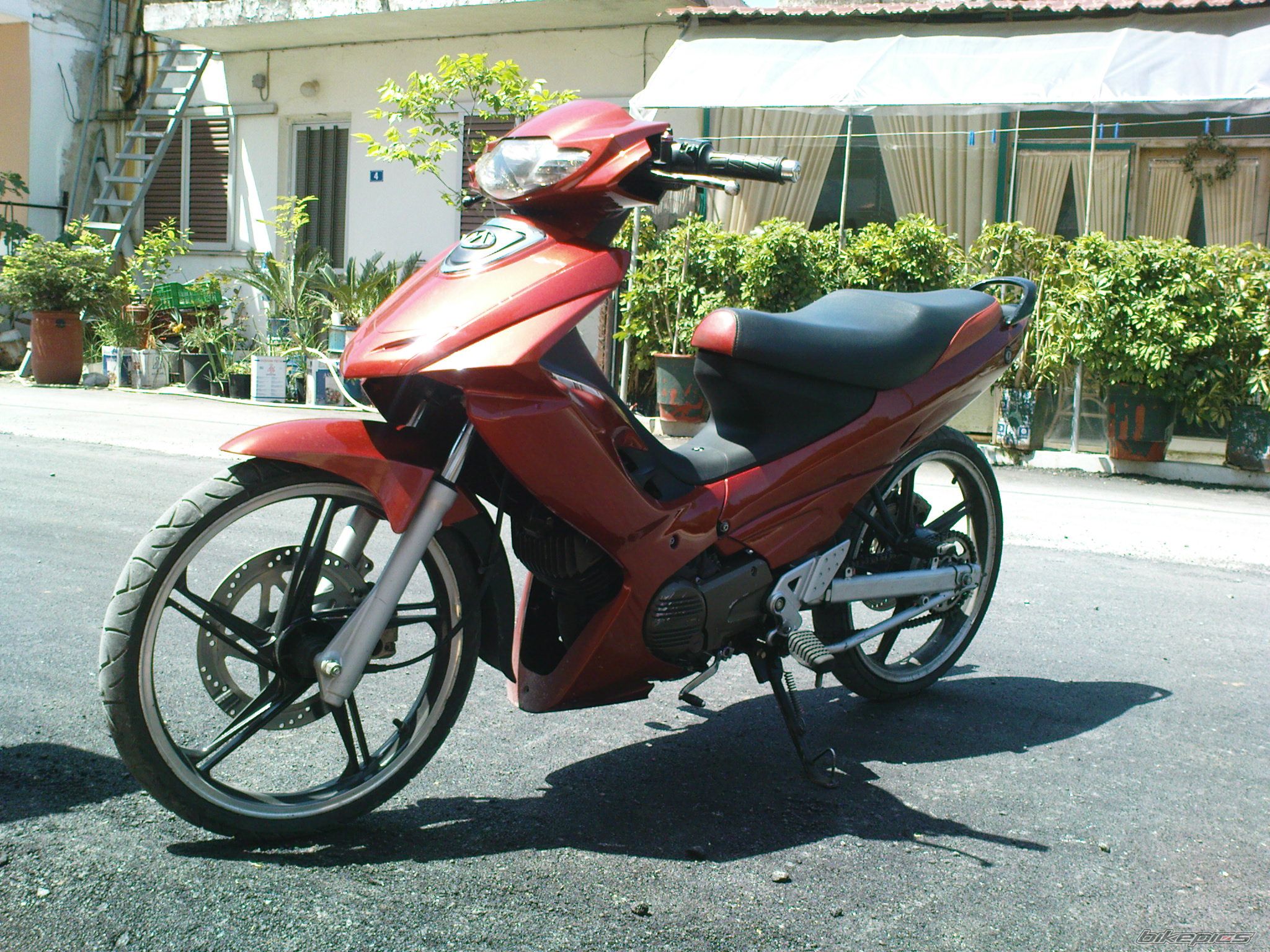 Photo 1667751