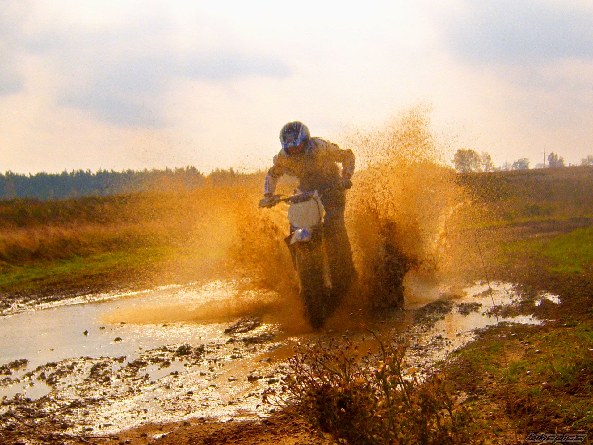 Bike Photo 1667808