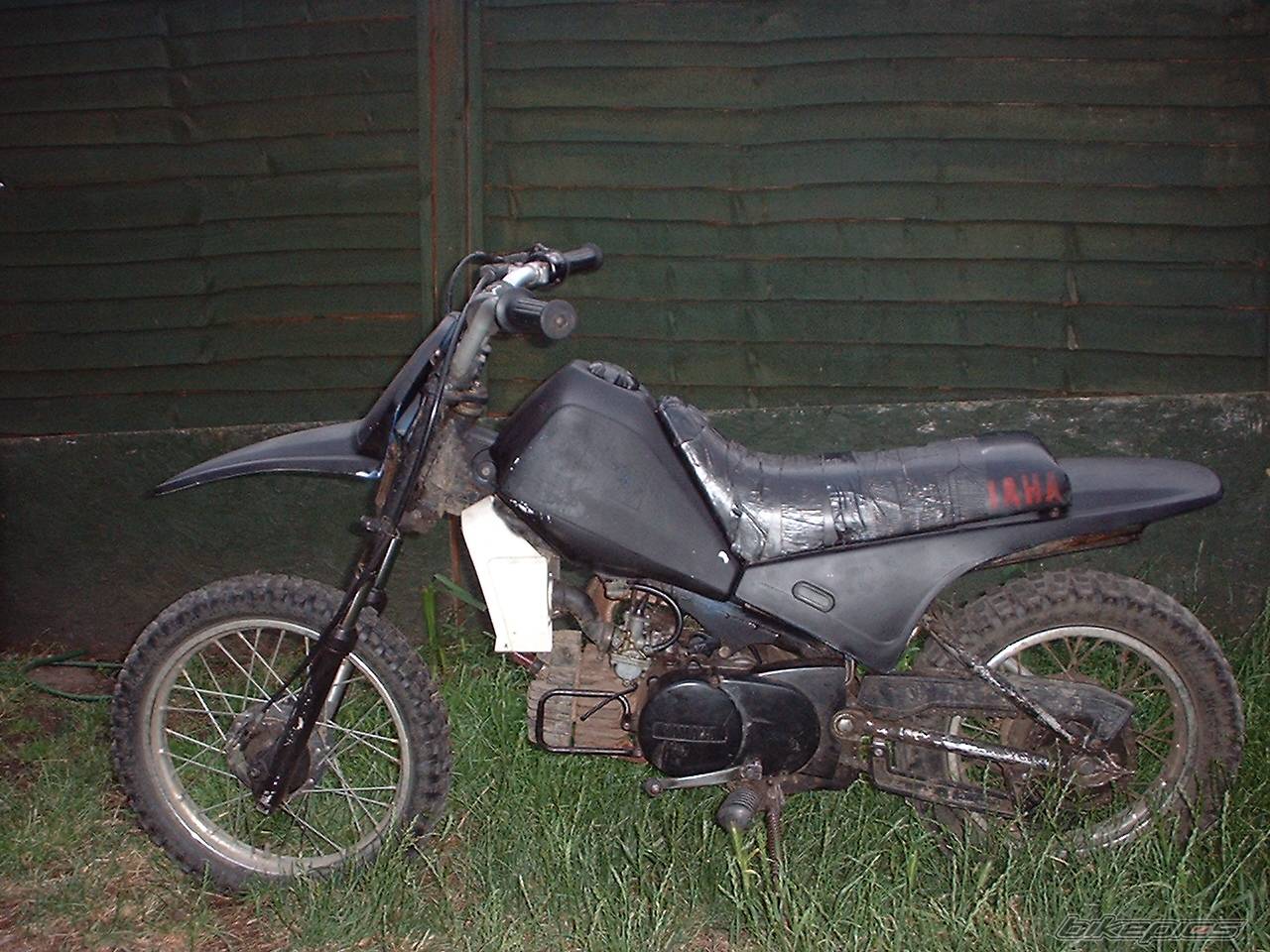 Photo 166782