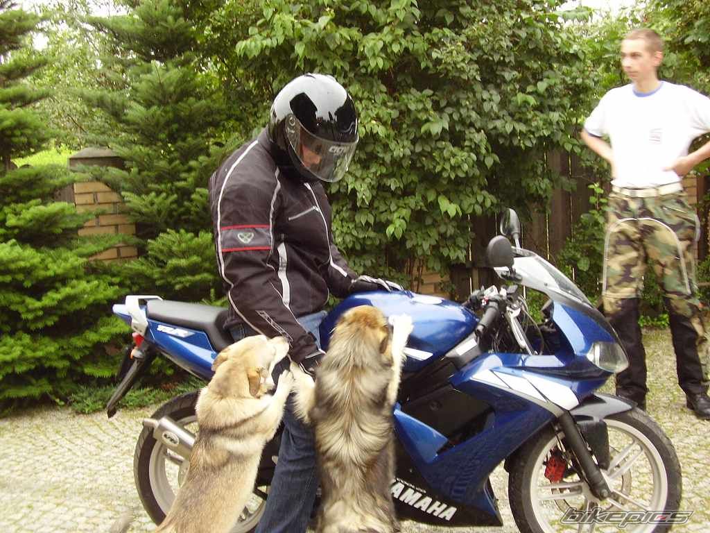Bike Photo 1667857