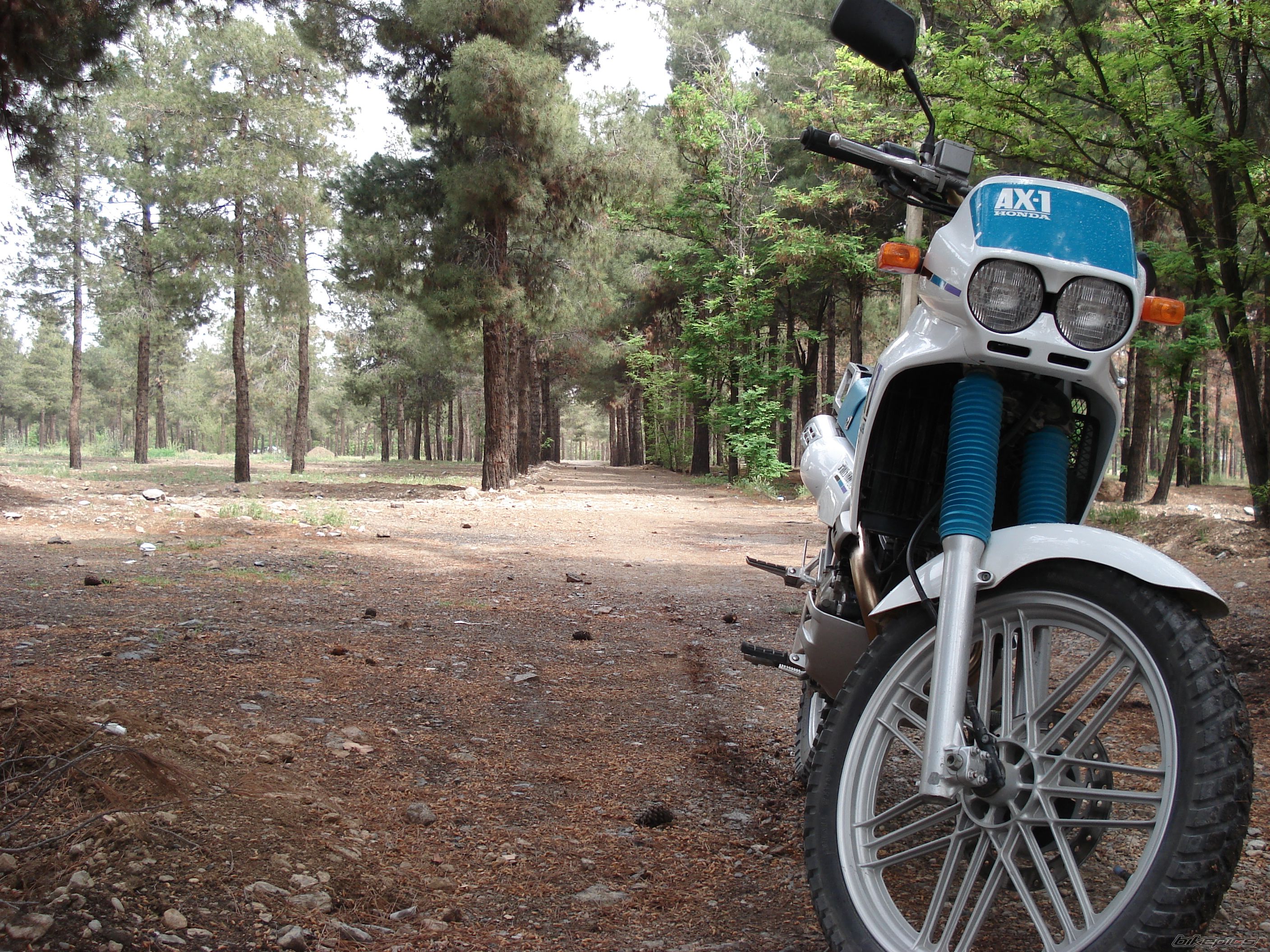 Bike Photo 1667878