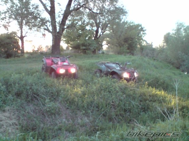 Photo 1667882