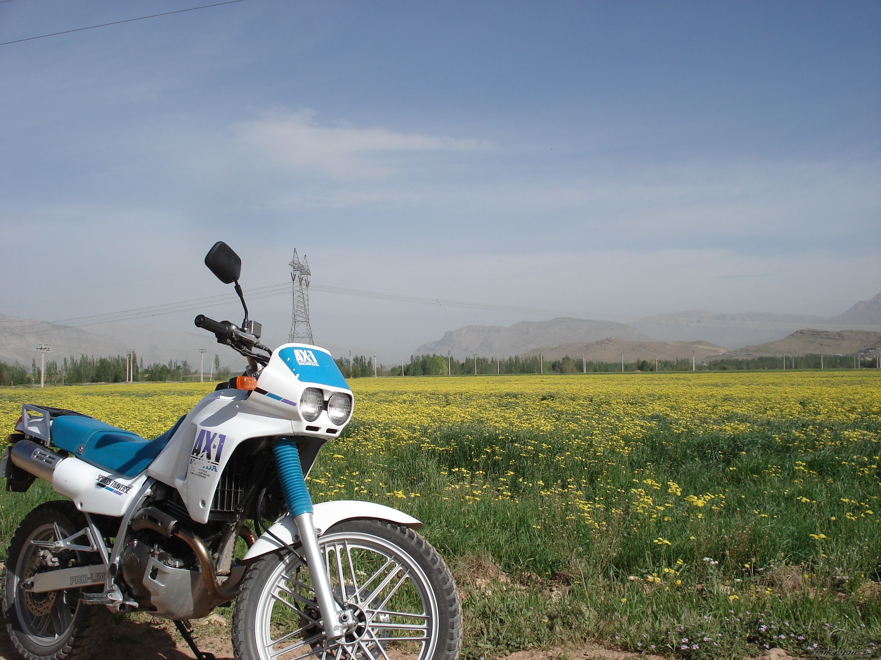 Bike Photo 1667883