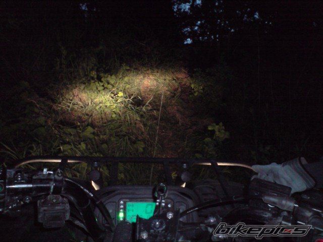 Photo 1667886