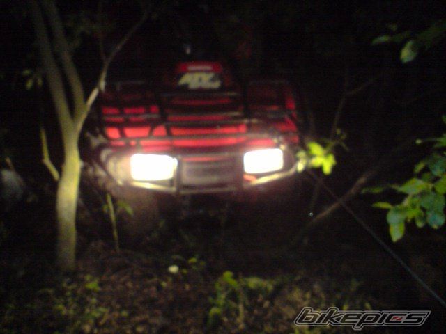 Photo 1667891