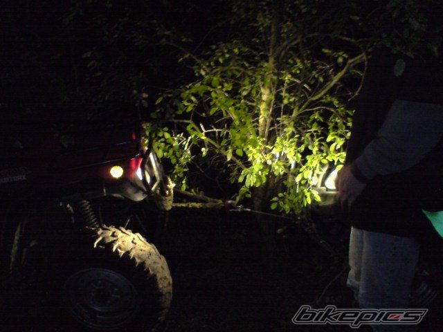Photo 1667894