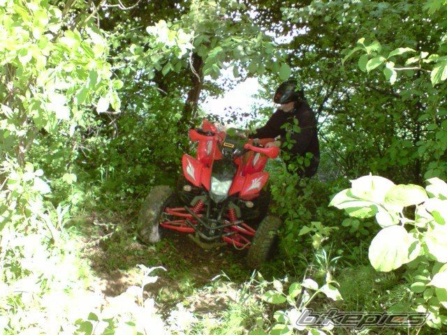 Photo 1667901