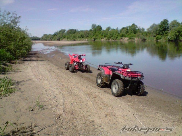 Photo 1667902