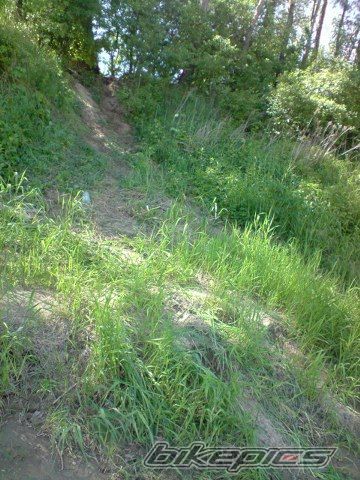 Photo 1667907