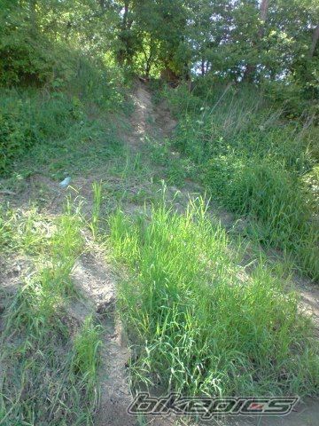 Photo 1667908
