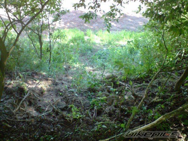 Photo 1667909