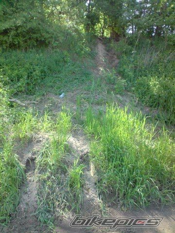 Photo 1667912