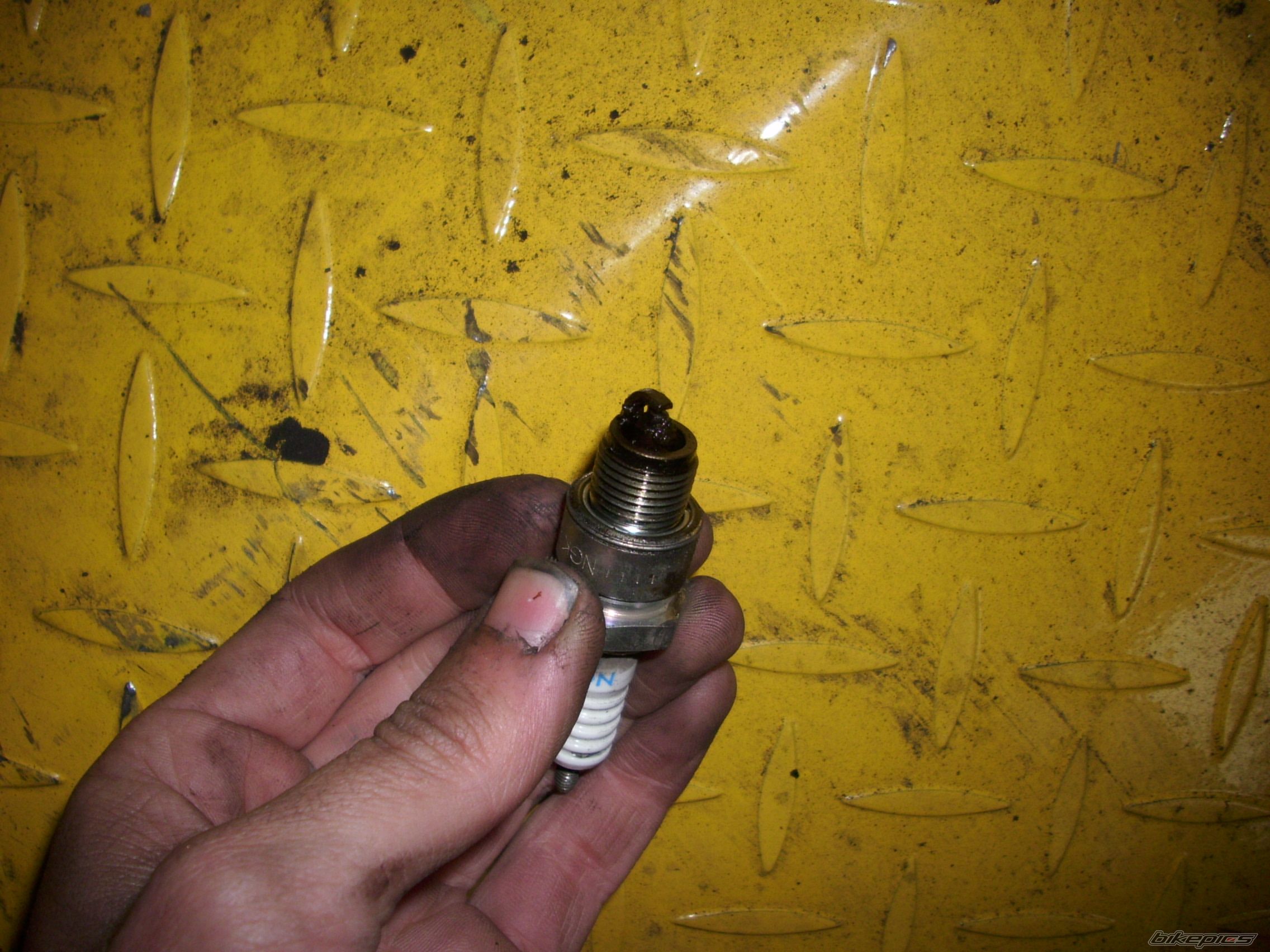 Photo 1667991