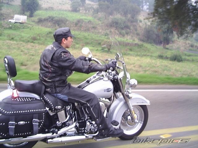 Photo 1668042
