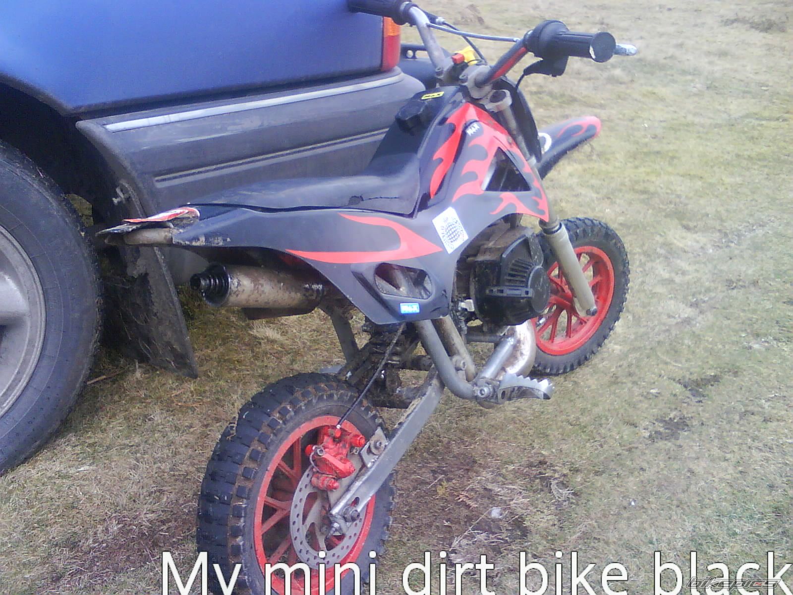 Photo 1668046
