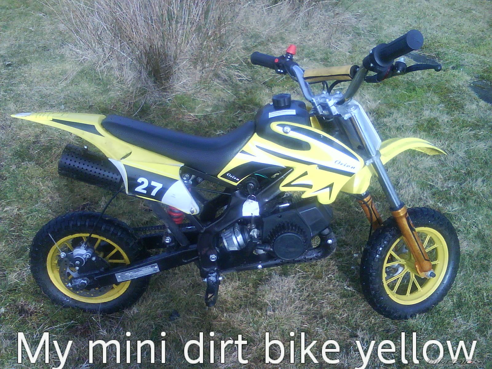 Photo 1668051