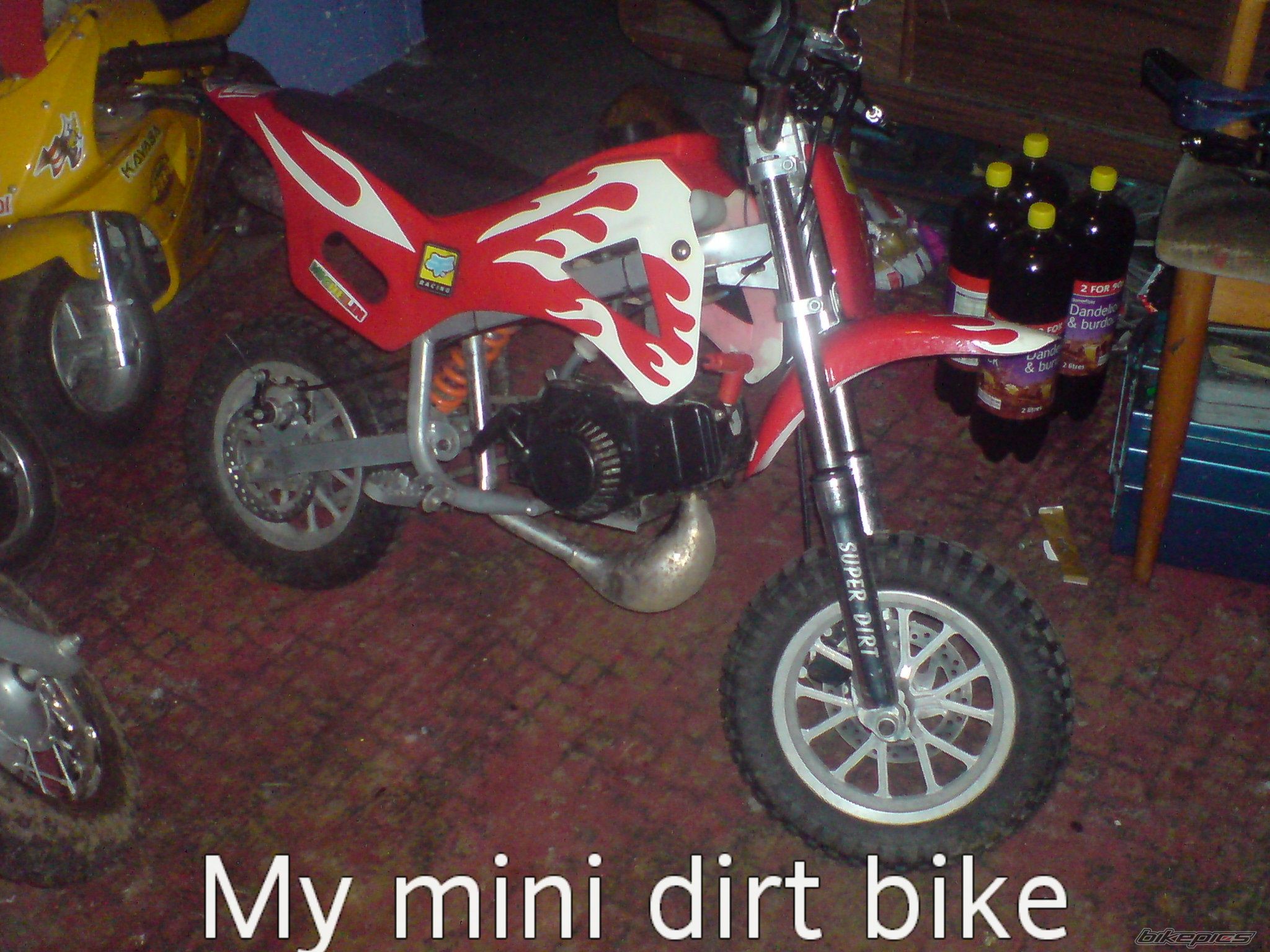 Photo 1668052