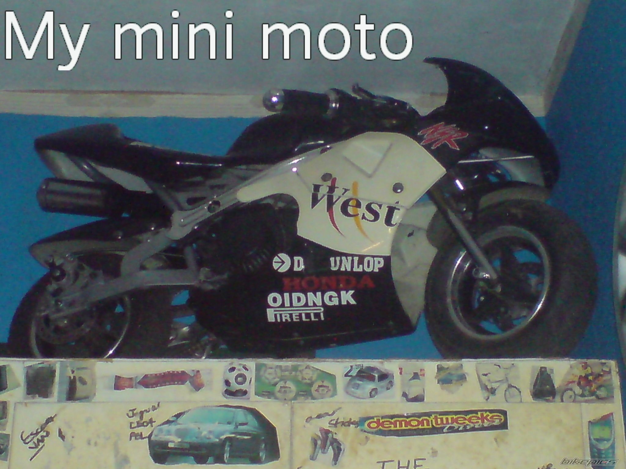 Photo 1668054
